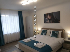 Luxury Runk House Câmpulung Moldovenesc